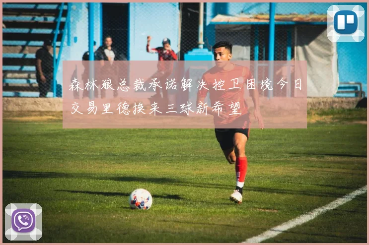 森林狼总裁承诺解决控卫困境今日交易里德换来三球新希望