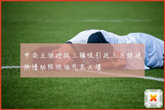 申花主场迎战三镇吸引近三万球迷热情助阵现场气氛火爆